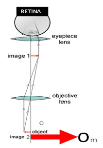 Microscope image formed on the retina